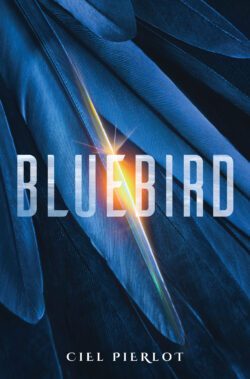 Bluebird cover image – blue feathers with yellow highlight